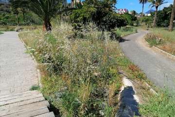 Abandono del Parque de las Mil Palmeras del Valle de Jinámar/TA.